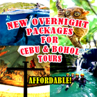 cebu bohol tours