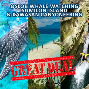 Oslob whale Sumilon island Kawasan Canyoneering