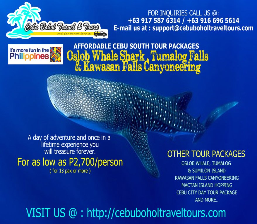 Whale Shark Adventure Tour