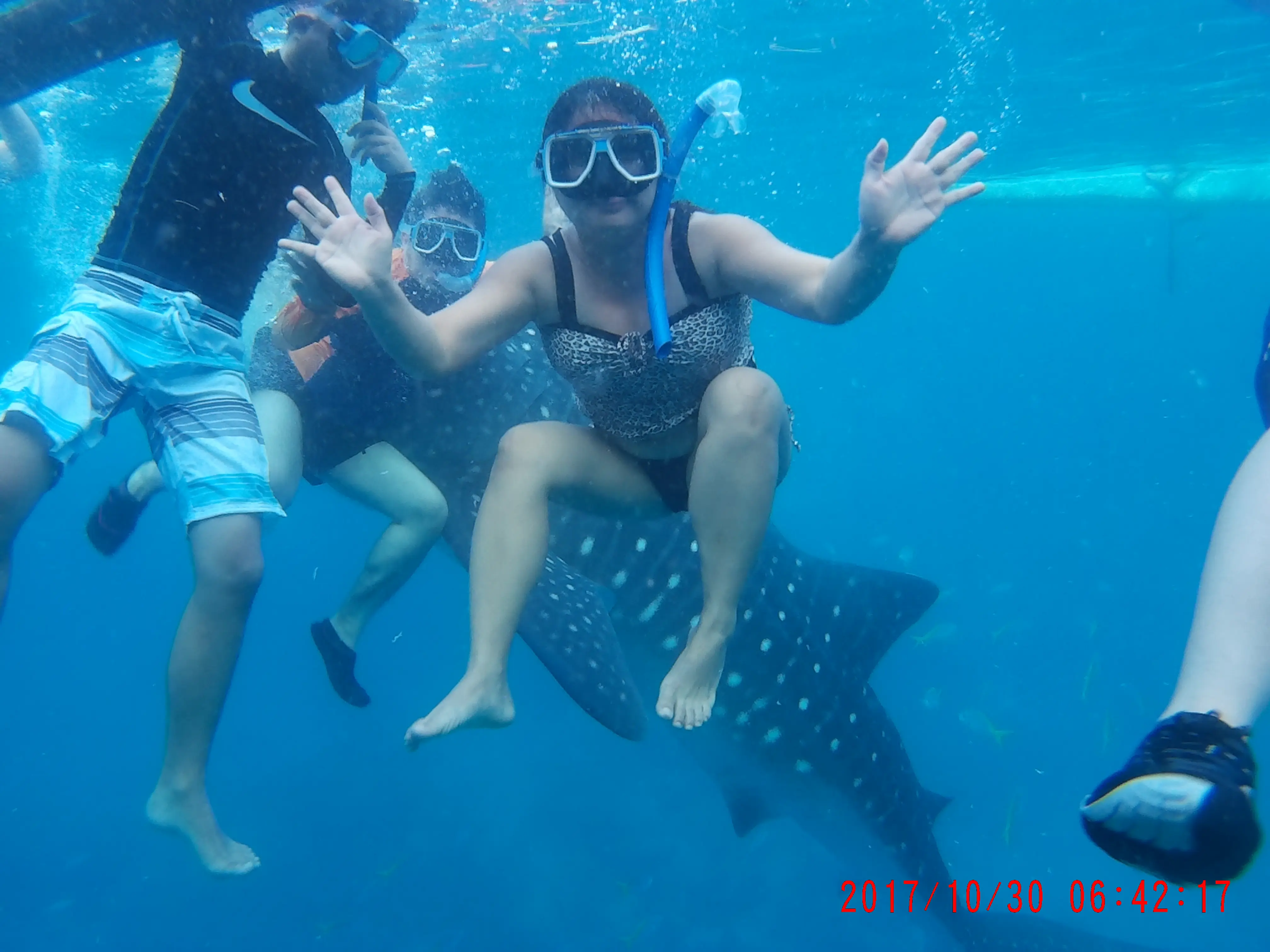 Oslob tours