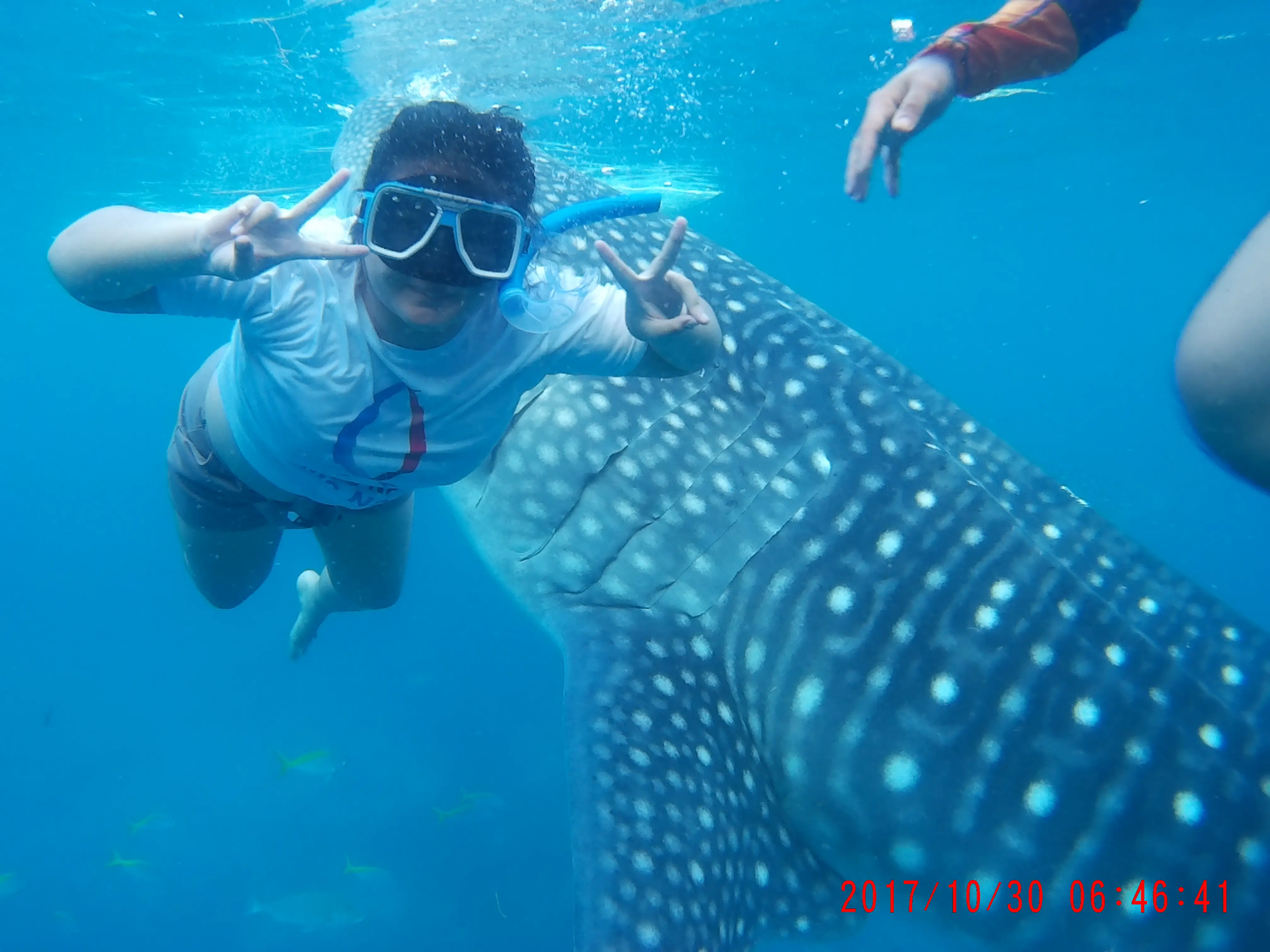 Oslob tours