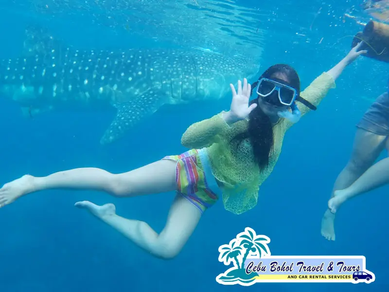 oslob whale tours
