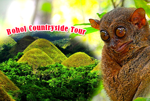 Cebu Tours and Bohol Tours