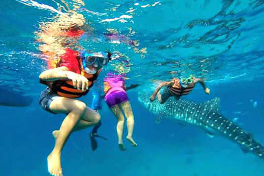 cebu tours