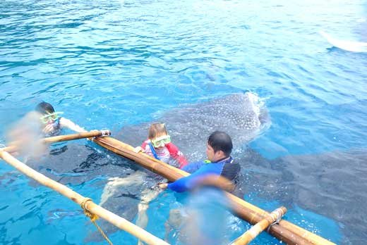 Oslob Whale Tumalog Kawasan Falls