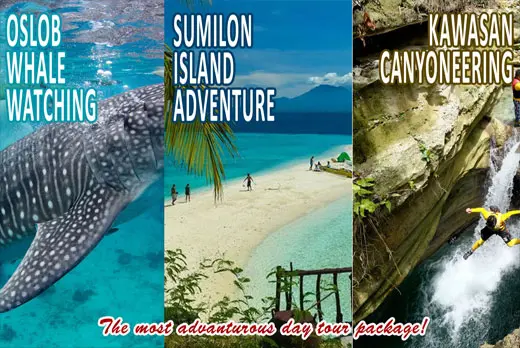 Oslob Whale Sumilon Kawasan Falls