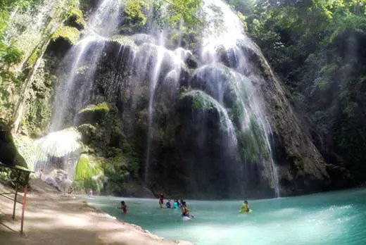 Oslob Whale Tumalog Simala