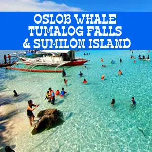 oslob whale tumalog sumilon island
