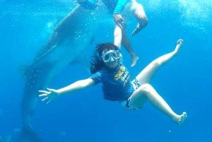 oslob whale shark tour