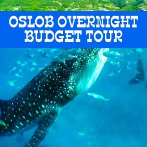 oslob overnight budget