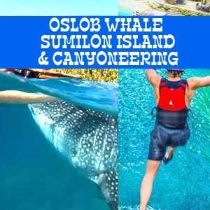 Oslob Whale, Sumilon Island and Kawasan Canyoneering