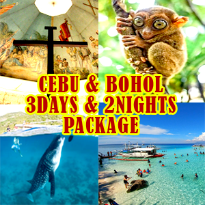 Cebu and Bohol 3Days/2Nights Package