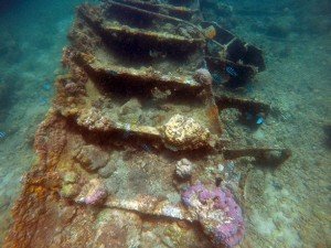 cebu tours malapascua island