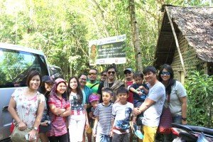 Bohol tarsiers