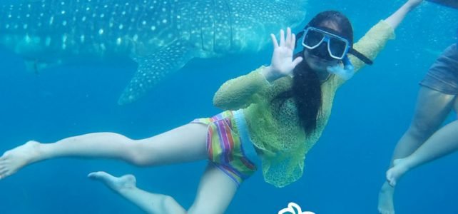 Whale shark, Sumilon Island and Canyoneering tour package