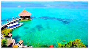 moalboal