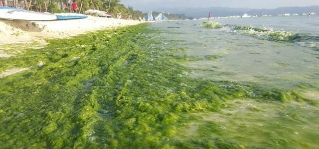 Boracay firms to be inspected for compliance audit by the DILG
