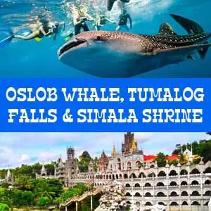 Oslob whale shark watching, Tumalog Falls & Simala