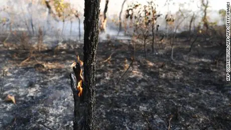 Amazon Rainforest Burning