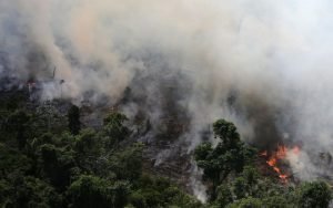 amazon rainforest burning