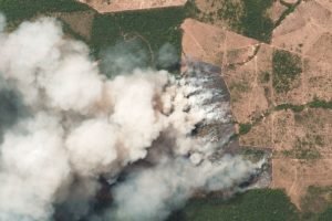 amazon rainforest burning