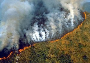 amazon rainforest burning