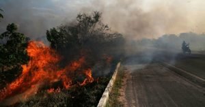 amazon rainforest burning