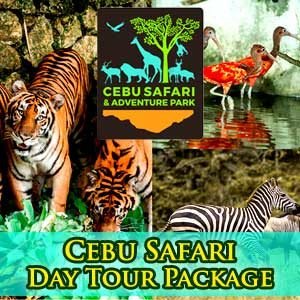 Cebu Safari Day Tour Package