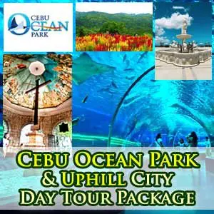 Oceanpark and Uphill City Tour Package