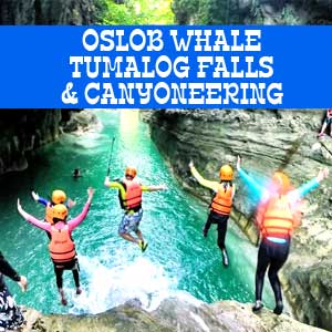 Oslob Whale, Tumalog Falls and Canyoneering
